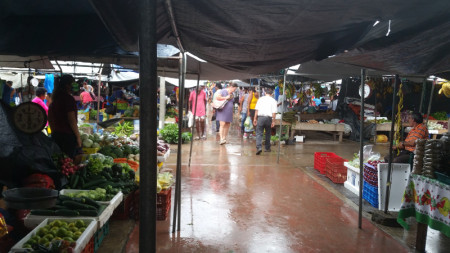 SanIgnacioMarket2.jpg