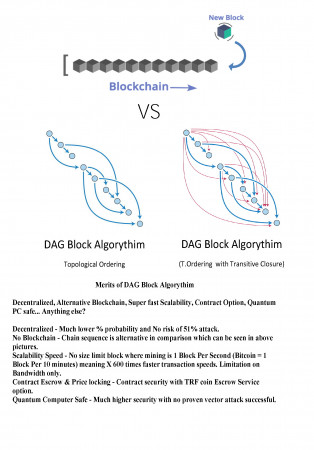 Travelflex Coin DAG Algorithm Coin.jpg