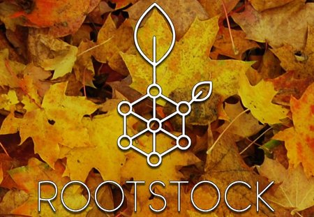 090316_rootstock_turing-polnaya-platforma-na-blockchain_1.jpg