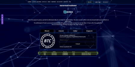 SeirexPayments1.jpg