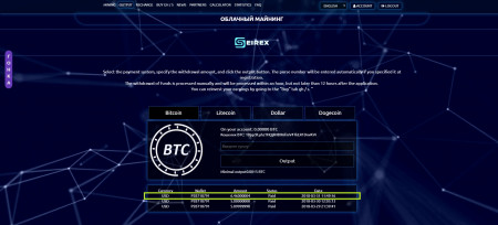 SeirexPayments1.jpg