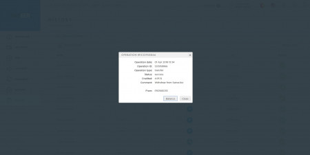 SeirexPayments2.jpg