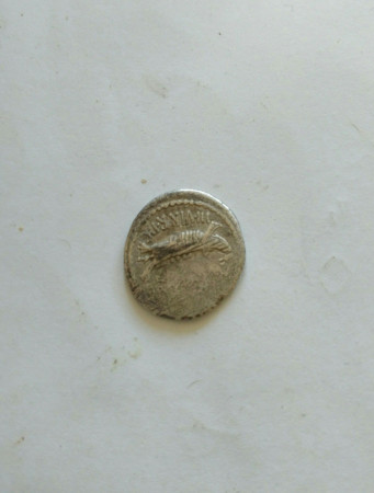 s-l16002.jpg