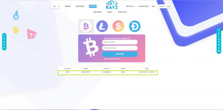 Rayz payments 1.jpg