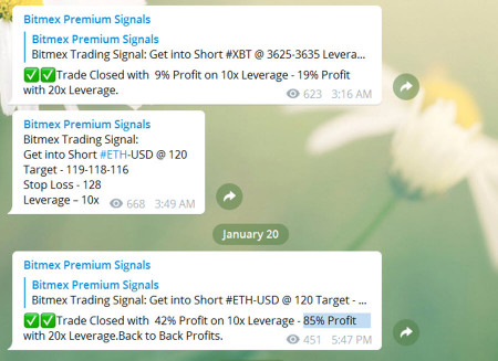 BITMX PREMIUM.jpg