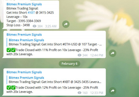 bitmex premium signals.jpg