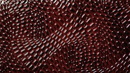 230916_evolucia-koshelkov-ethereum_top.jpg