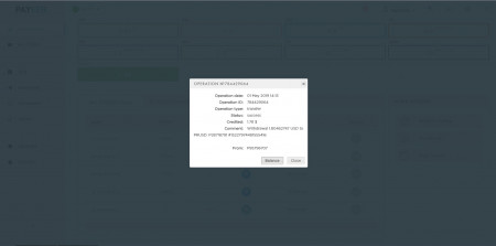 Lazur payments2.jpg