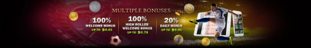 multi_bonus.jpg