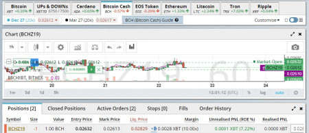 22 premium bch.jpg