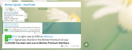 BITMEX SHAMIM.jpg