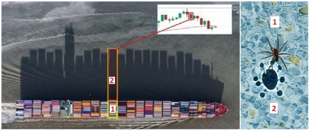 Bild 3 container ship.jpg