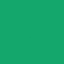 250x250.gif