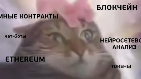 050317_zastrahovat-kisku-v-blockchaine_1.jpg