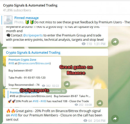 binance vib.jpg