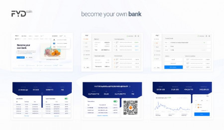 fydcoin-explained.jpeg